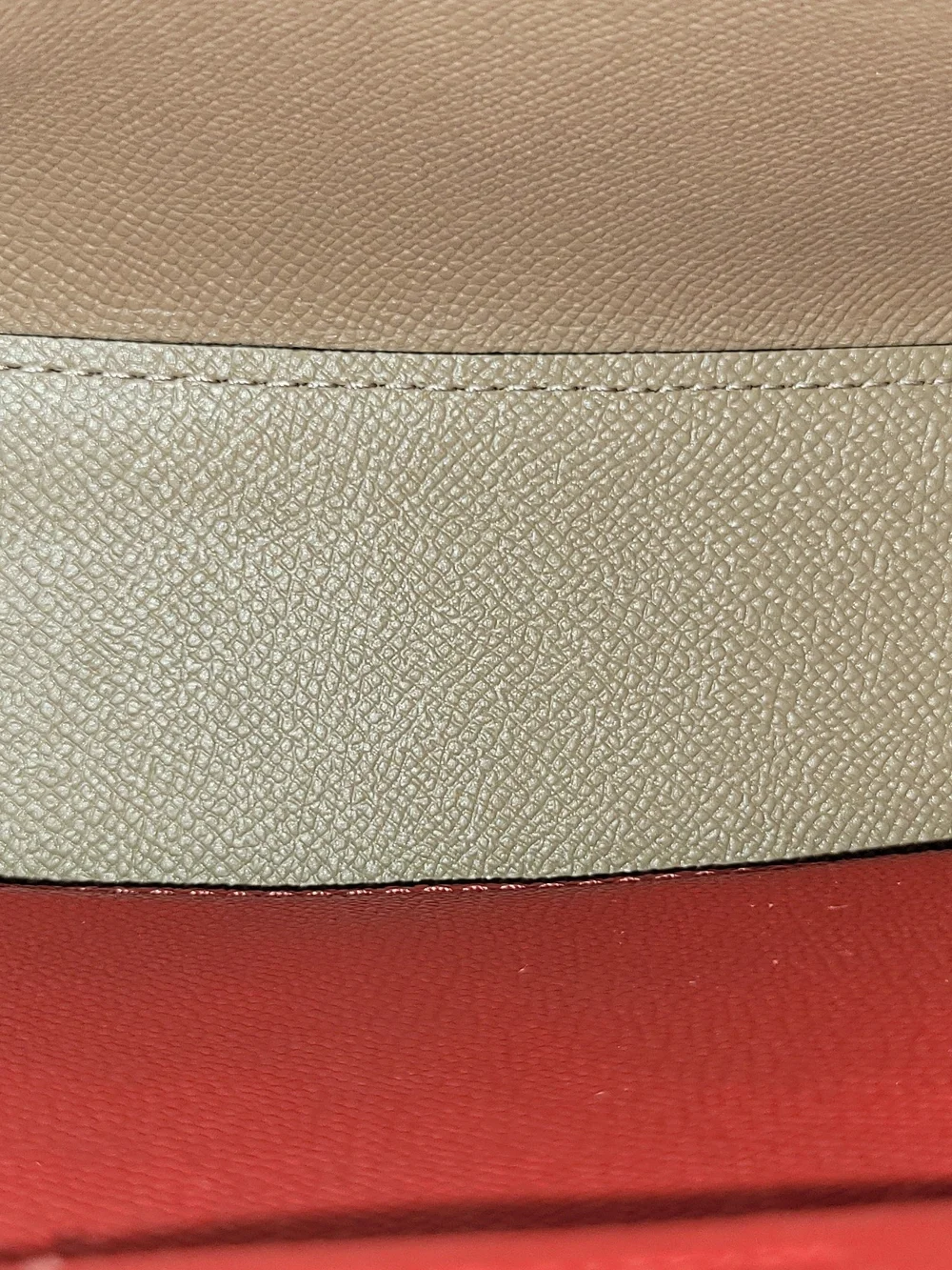 Coach cherry print